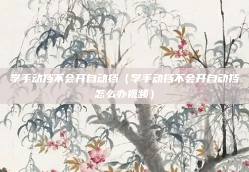学手动挡不会开自动挡(学手动挡不会开自动挡怎么办视频)