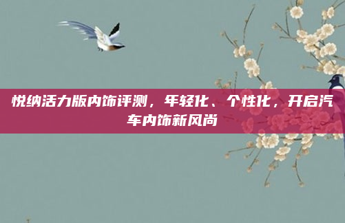 悦纳活力版内饰评测,年轻化、个性化,开启汽车内饰新风尚