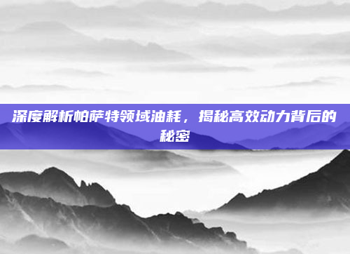 深度解析帕萨特领域油耗，揭秘高效动力背后的秘密