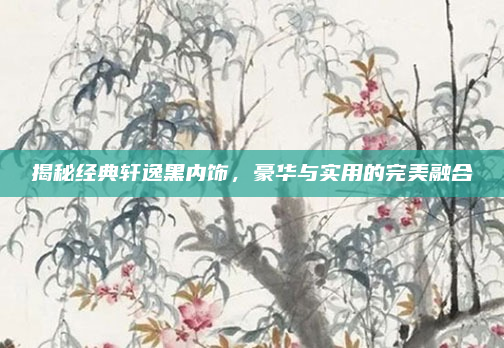 揭秘经典轩逸黑内饰,豪华与实用的完美融合