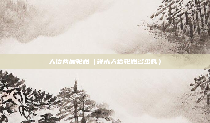 天语两厢轮胎（铃木天语轮胎多少钱）