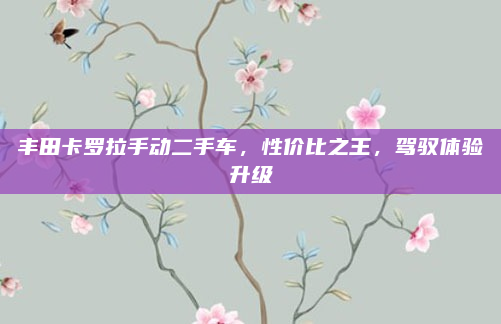 丰田卡罗拉手动二手车，性价比之王，驾驭体验升级