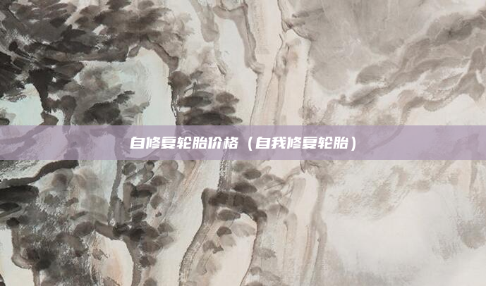 自修复轮胎价格（自我修复轮胎）