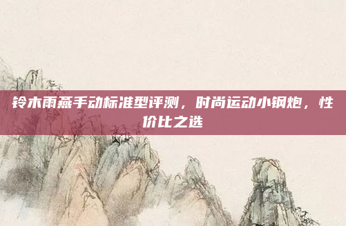 铃木雨燕手动标准型评测，时尚运动小钢炮，性价比之选