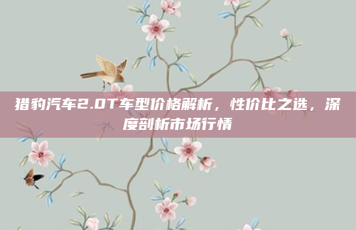 猎豹汽车2.0T车型价格解析,性价比之选,深度剖析市场行情