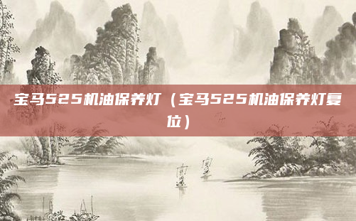 宝马525机油保养灯（宝马525机油保养灯复位）