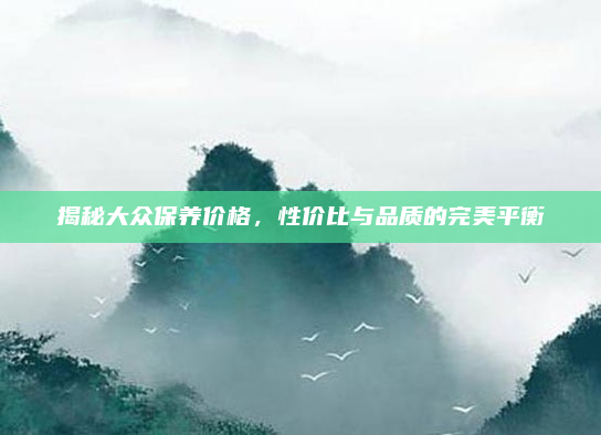 揭秘大众保养价格,性价比与品质的完美平衡