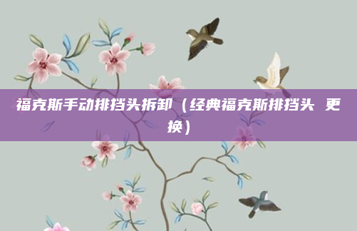 福克斯手动排挡头拆卸（经典福克斯排挡头 更换）