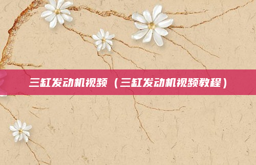 三缸发动机视频（三缸发动机视频教程）
