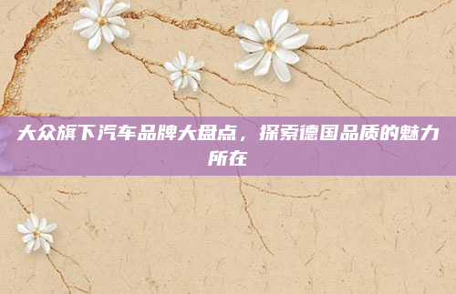 大众旗下汽车品牌大盘点，探索德国品质的魅力所在