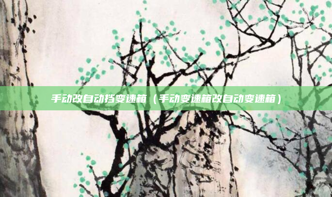 手动改自动挡变速箱（手动变速箱改自动变速箱）