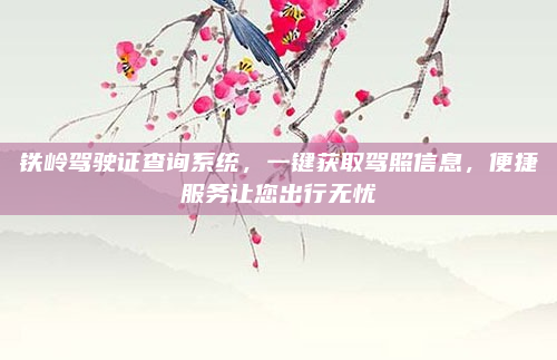 铁岭驾驶证查询系统,一键获取驾照信息,便捷服务让您出行无忧