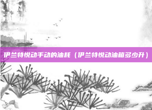 伊兰特悦动手动的油耗（伊兰特悦动油箱多少升）